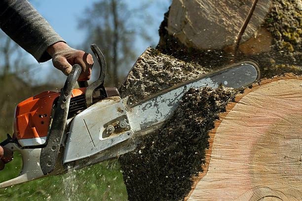 Best Aeration Services  in Wilmer, TX